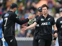 杨同样没有 杨同样没有